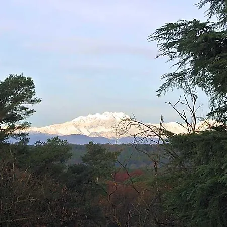 Campagnoli