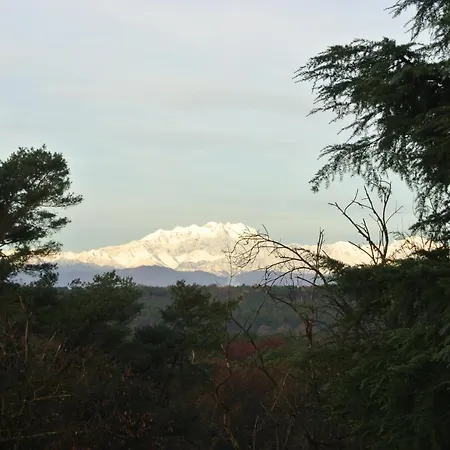 Campagnoli 3*