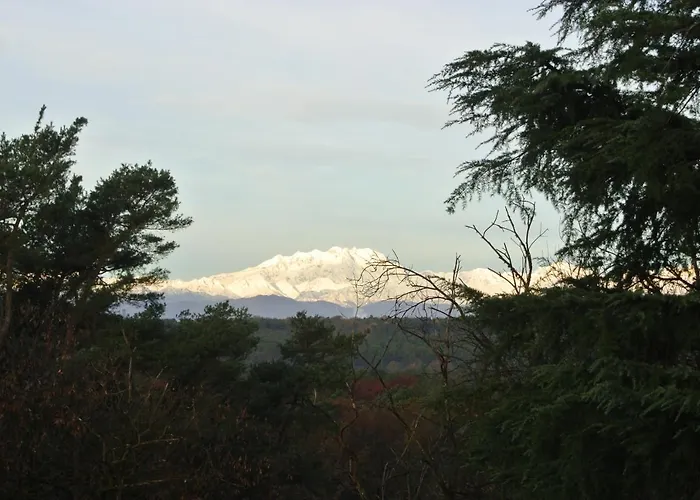 Campagnoli 3*